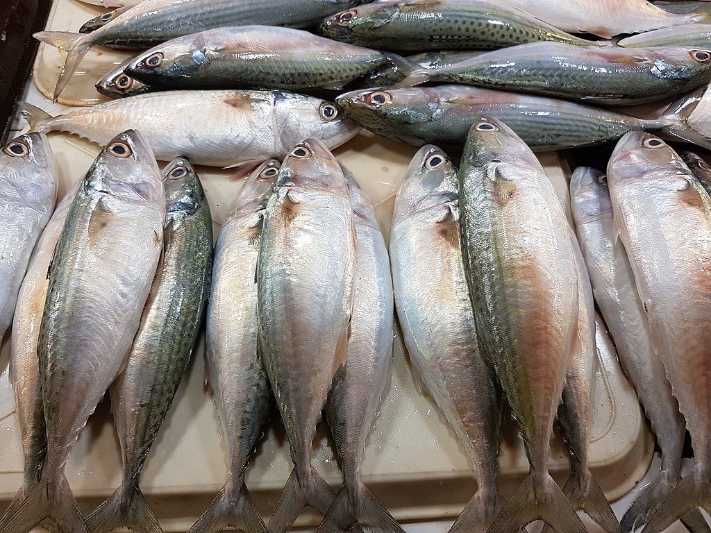 Tips Mengolah Ikan Agar Gizi Tetap Terjaga